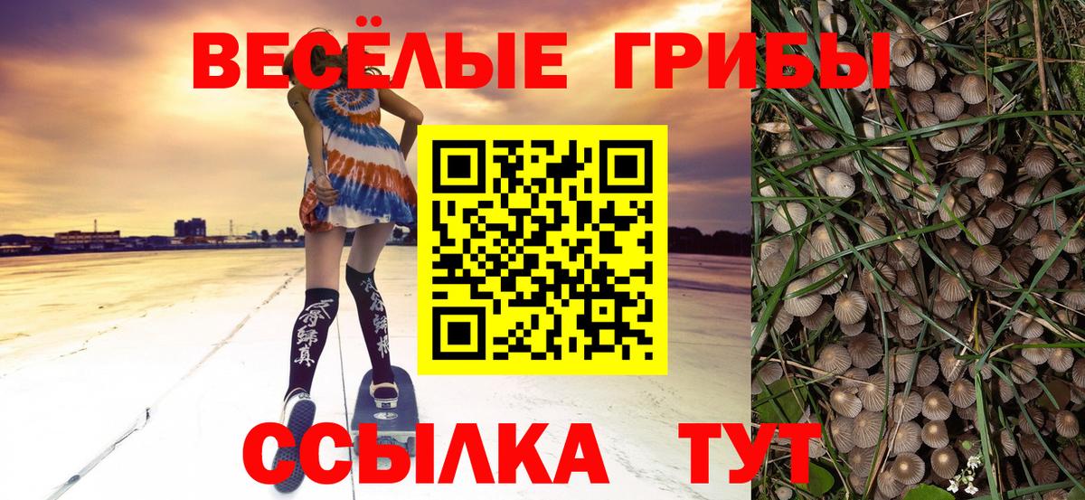 Нижнеудинск  Псилоцибиновые грибы Magic Shrooms  даркнет сайт  Вход с VPN 