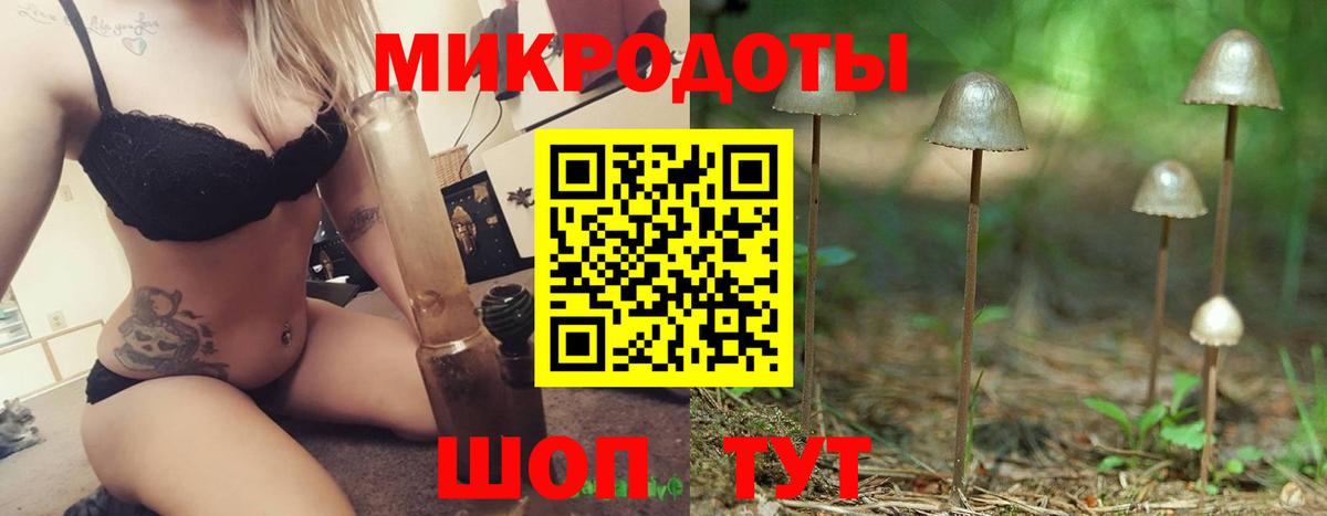 Псилоцибиновые грибы Psilocybine cubensis Нижнеудинск